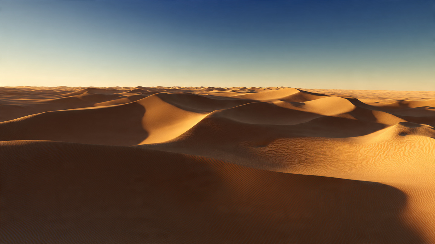 Rolling Sand Dunes at Golden Hour | Desert Landscape Wallpaper